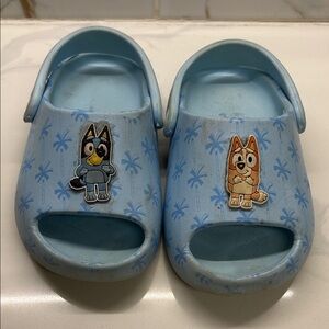 Bluey Slides